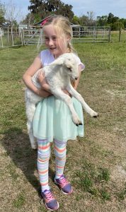 Girl with lamb